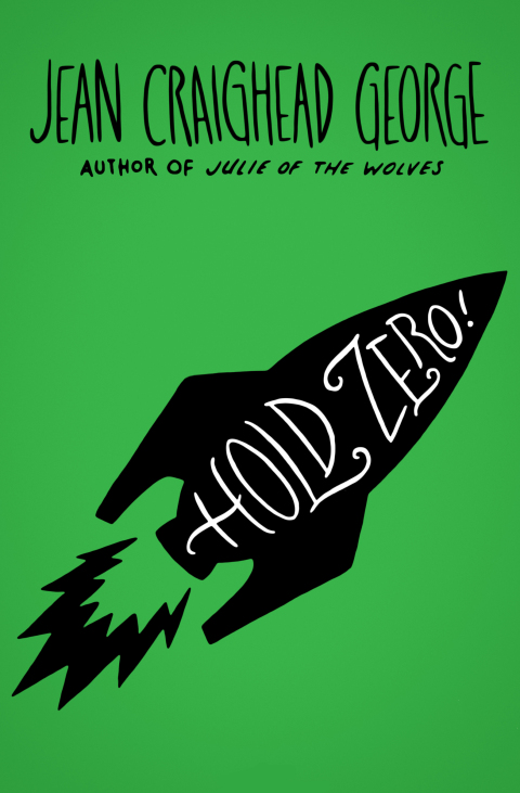 Cover image for book Hold Zero!