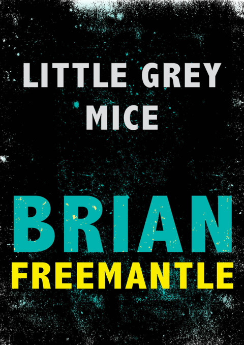 Cover image for book Little Grey Mice
