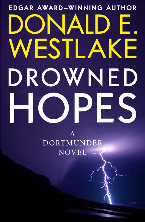 Cover image for book Drowned Hopes