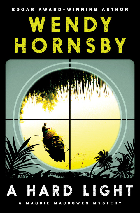 Cover image for book A Hard Light