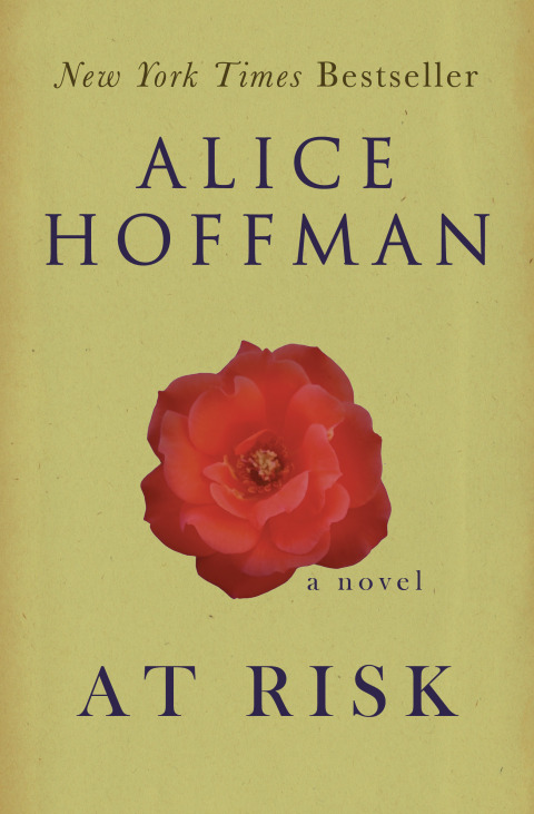 Cover image for book At Risk