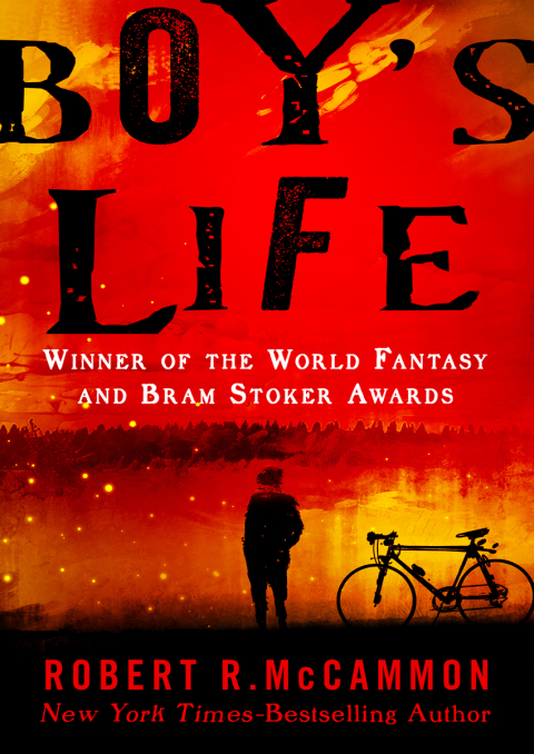 Cover image for book Boy's Life