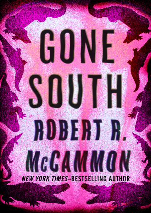 Cover image for book Gone South