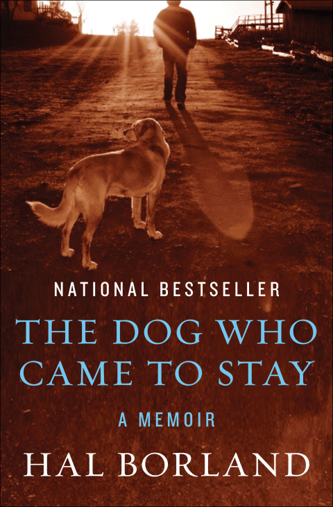 Cover image for book The Dog Who Came to Stay
