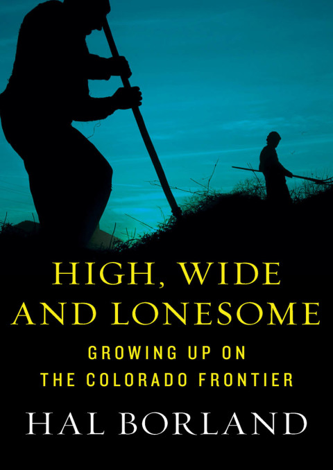 Cover image for book High, Wide and Lonesome