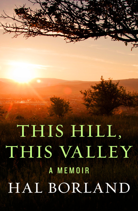 Cover image for book This Hill, This Valley