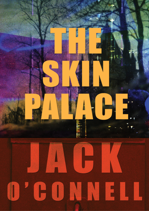 Cover image for book The Skin Palace