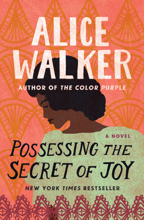 Cover image for book Possessing the Secret of Joy