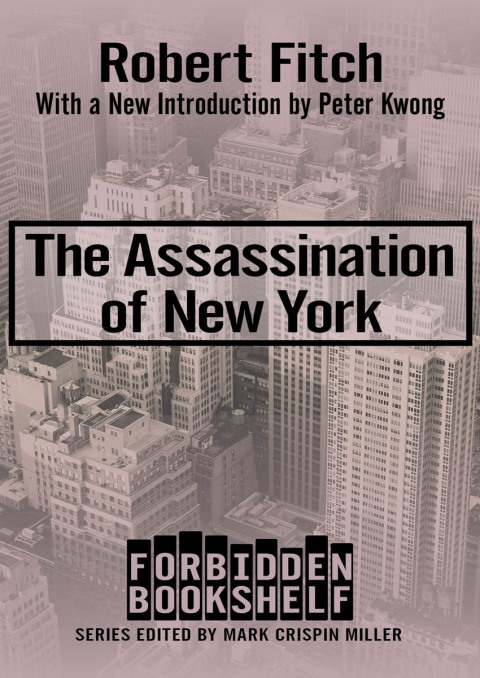 Cover image for book The Assassination of New York