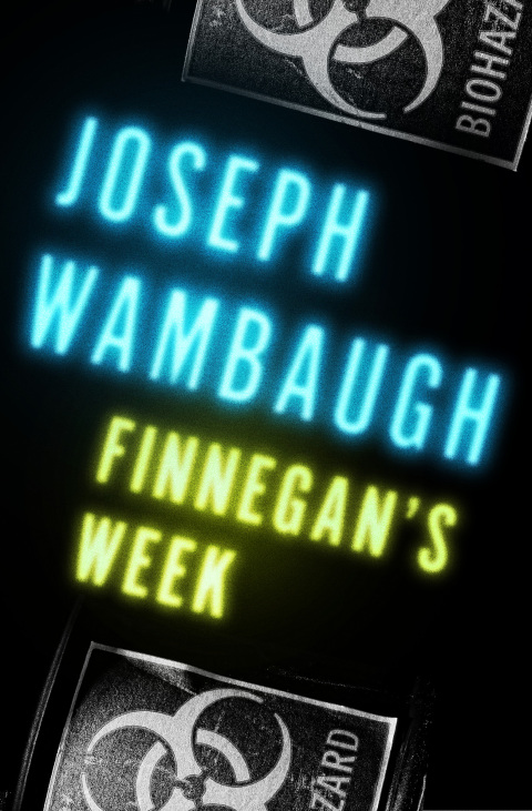 Cover image for book Finnegan's Week
