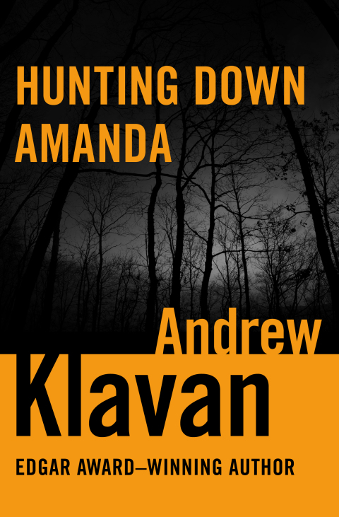 Cover image for book Hunting Down Amanda