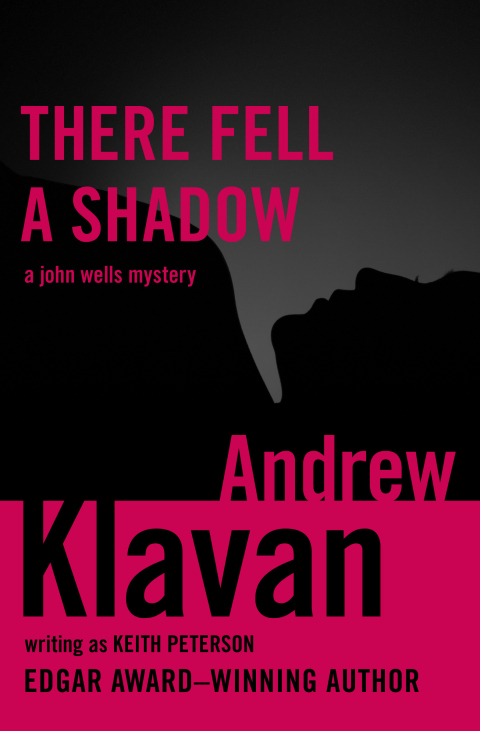 Cover image for book There Fell a Shadow