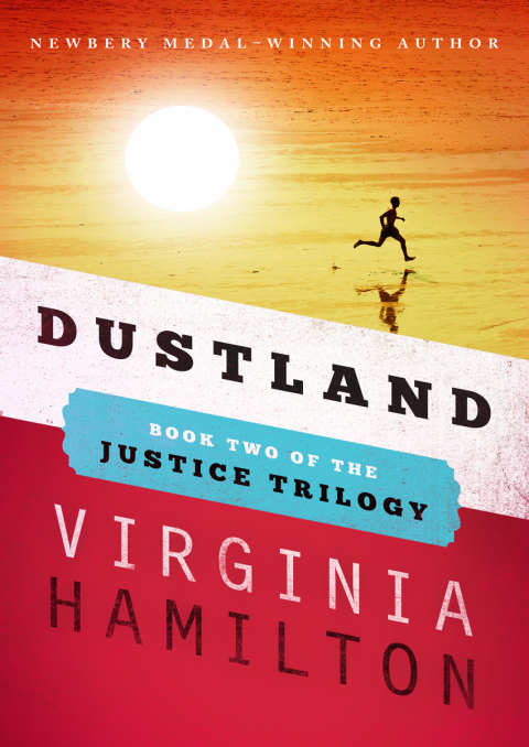 Cover image for book Dustland