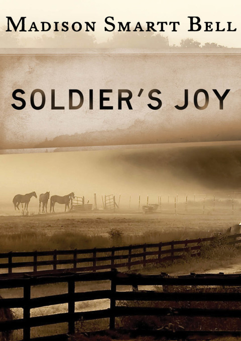 Cover image for book Soldier's Joy
