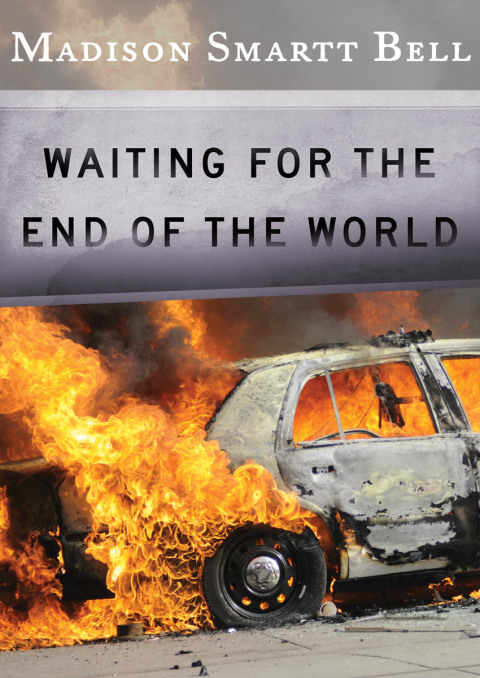 Cover image for book Waiting for the End of the World