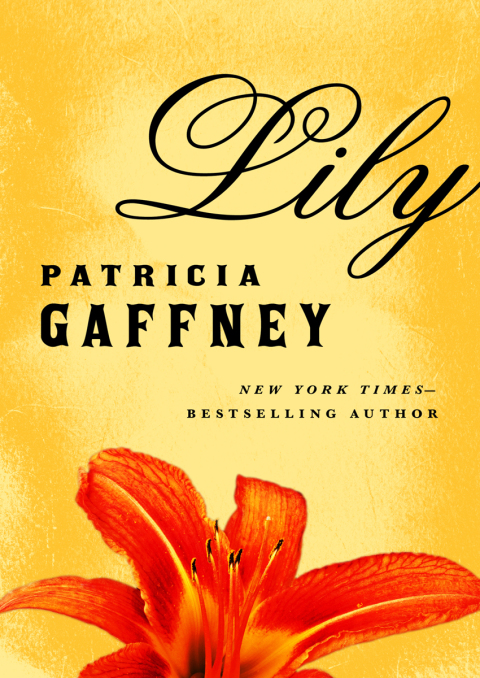 Cover image for book Lily