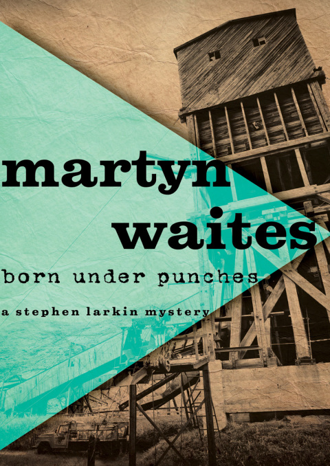 Cover image for book Born Under Punches