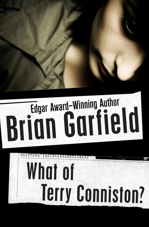 Cover image for book What of Terry Conniston?