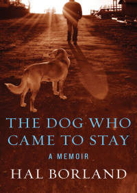 صورة الغلاف: The Dog Who Came to Stay 9781453232354