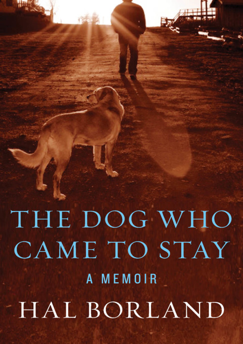 Cover image for book The Dog Who Came to Stay