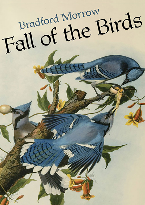 Cover image for book Fall of the Birds