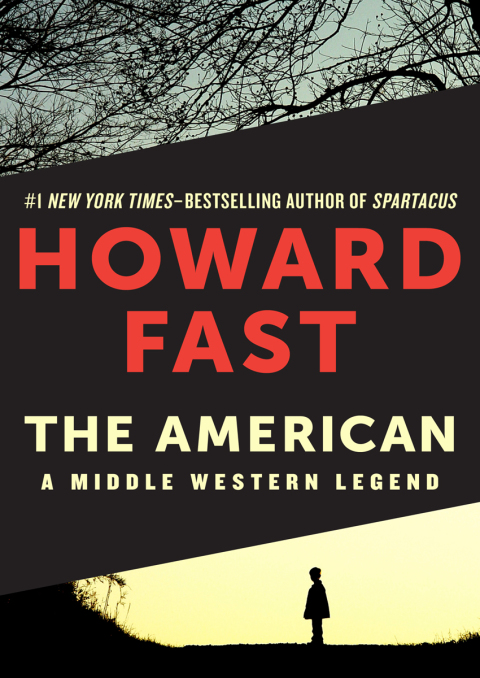 Cover image for book The American