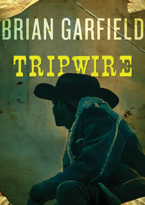 Cover image for book Tripwire