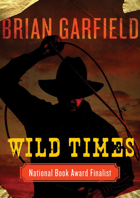 Cover image for book Wild Times