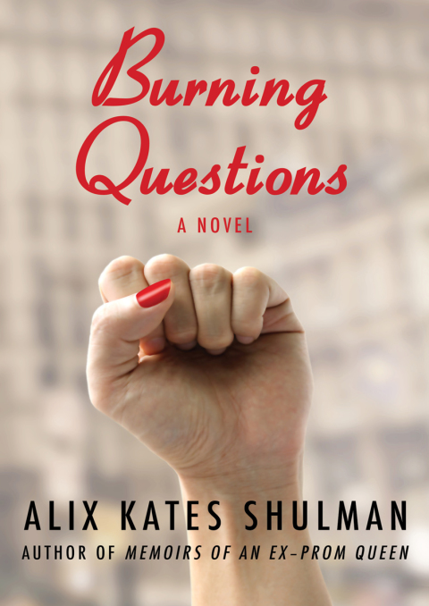 Cover image for book Burning Questions