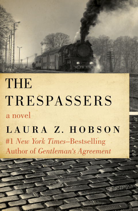 Cover image for book The Trespassers