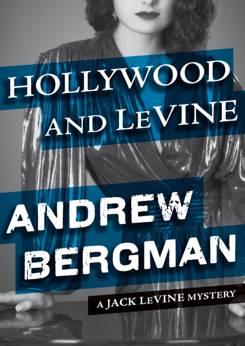 Cover image for book Hollywood and LeVine