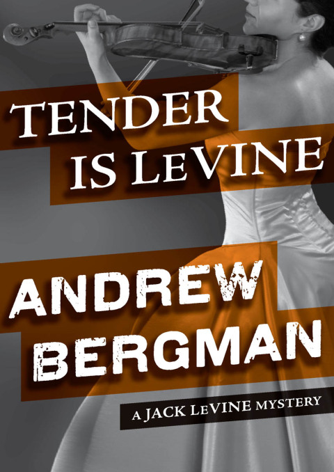 Cover image for book Tender Is LeVine