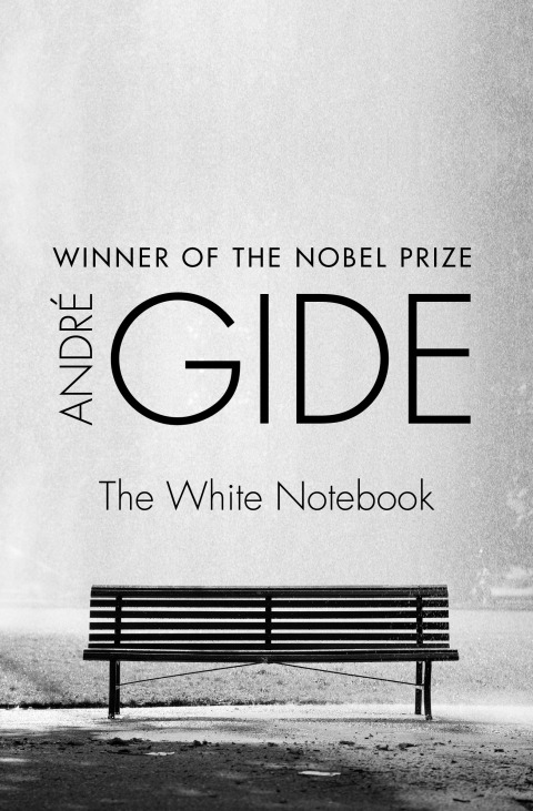 Cover image for book The White Notebook