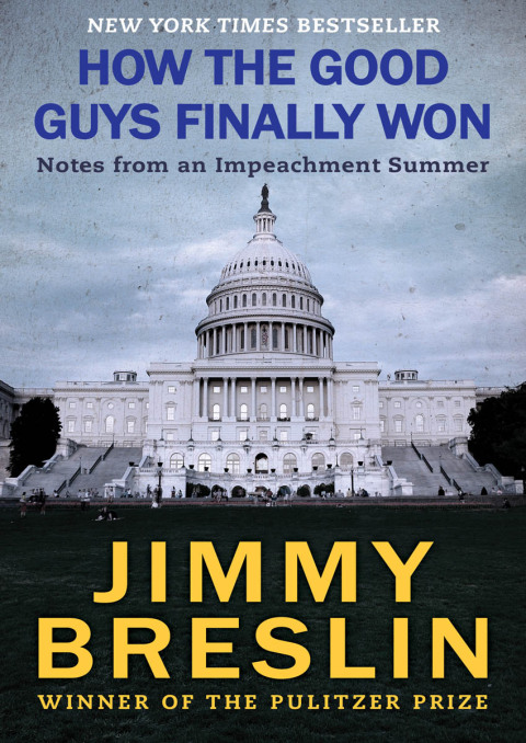 Cover image for book How the Good Guys Finally Won