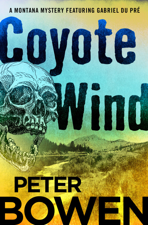 Cover image for book Coyote Wind