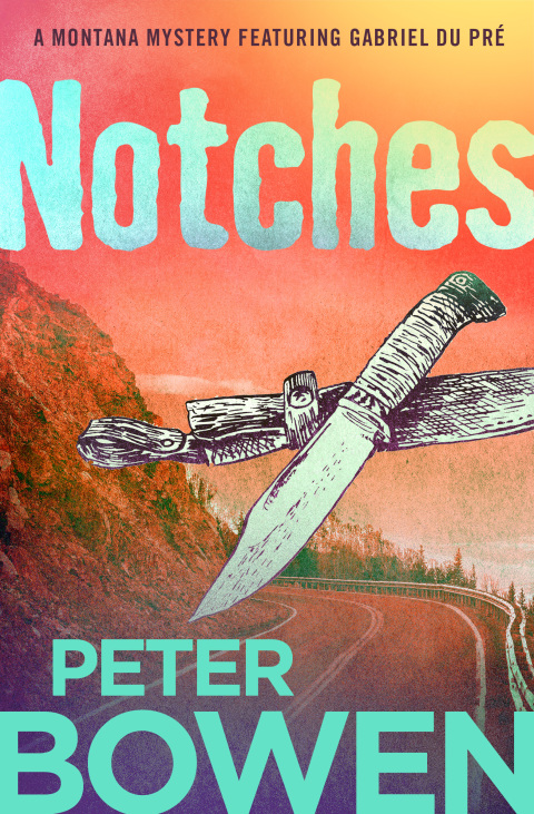 Cover image for book Notches