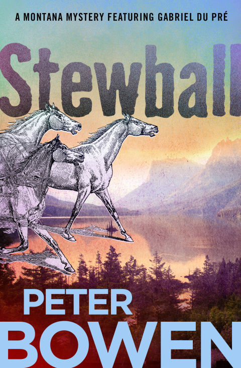 Cover image for book Stewball