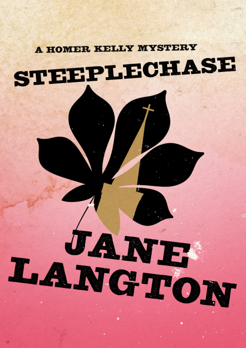 Cover image for book Steeplechase