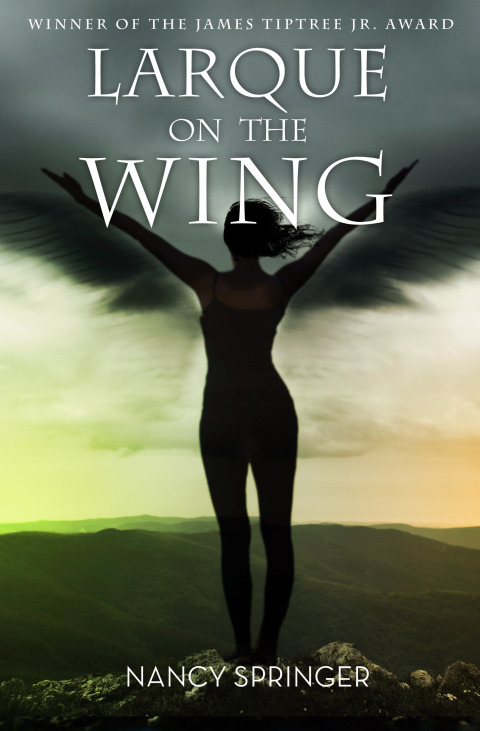 Cover image for book Larque on the Wing
