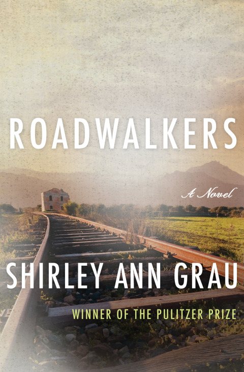Cover image for book Roadwalkers