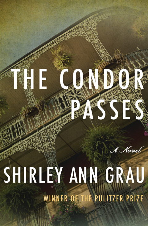 Cover image for book The Condor Passes