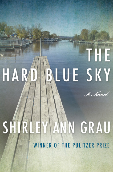 Cover image for book The Hard Blue Sky