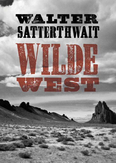 Cover image for book Wilde West