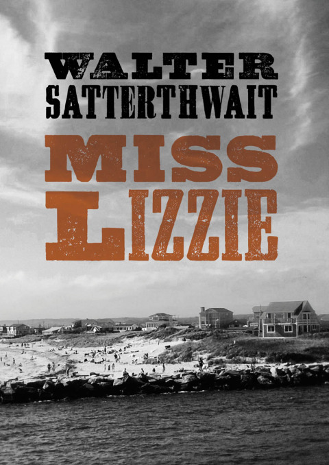 Cover image for book Miss Lizzie