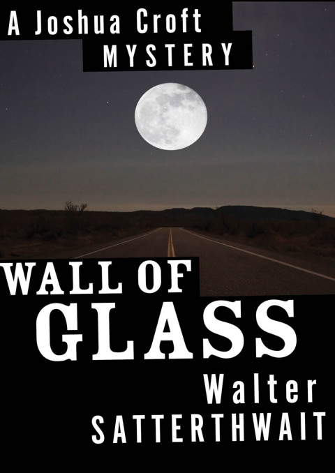 Cover image for book Wall of Glass