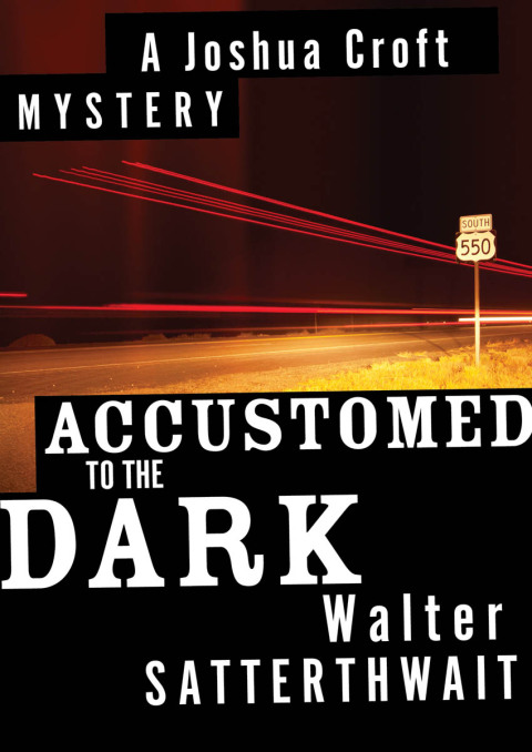 Cover image for book Accustomed to the Dark