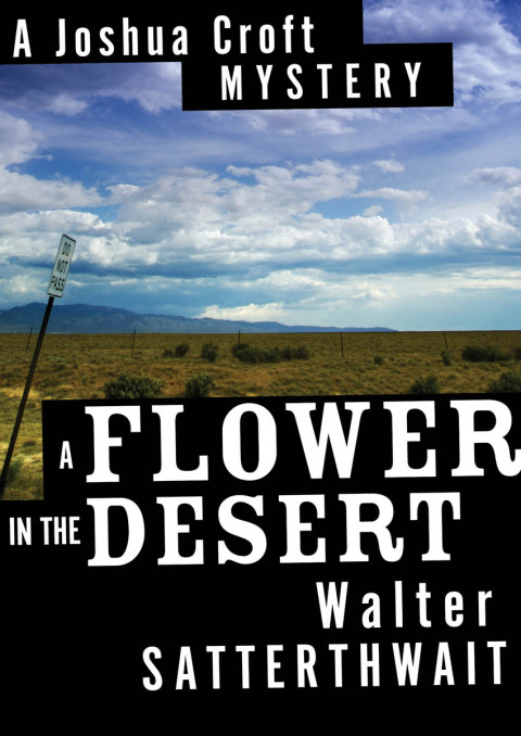 Cover image for book A Flower in the Desert