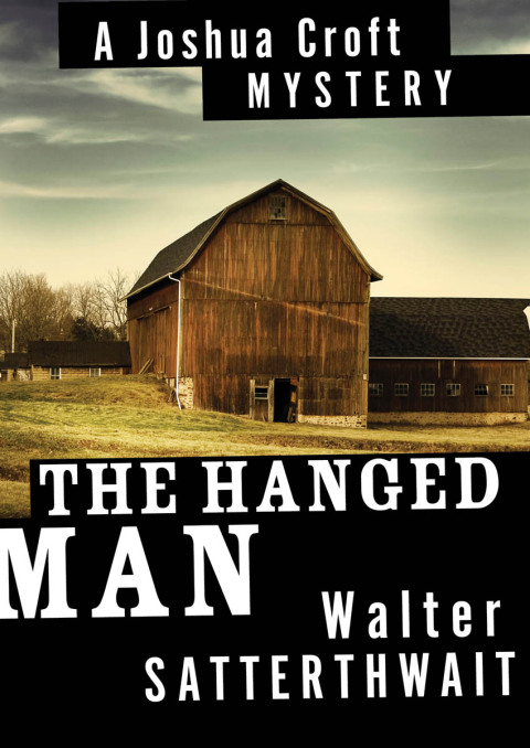 Cover image for book The Hanged Man