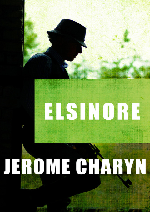 Cover image for book Elsinore