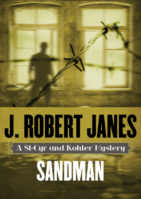 Cover image for book Sandman